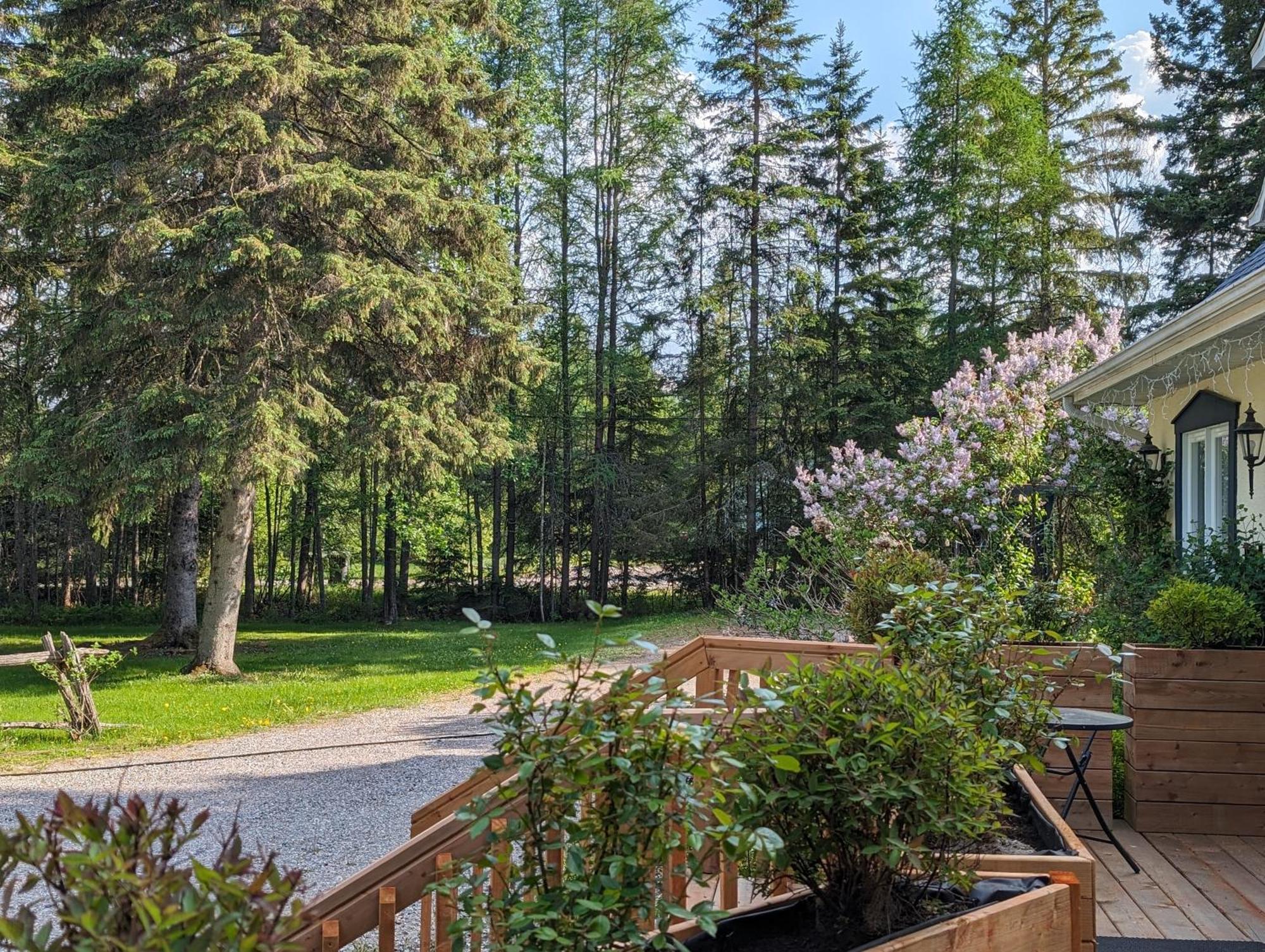 Bed and Breakfast La Tremblante Мон-Трамблан Экстерьер фото