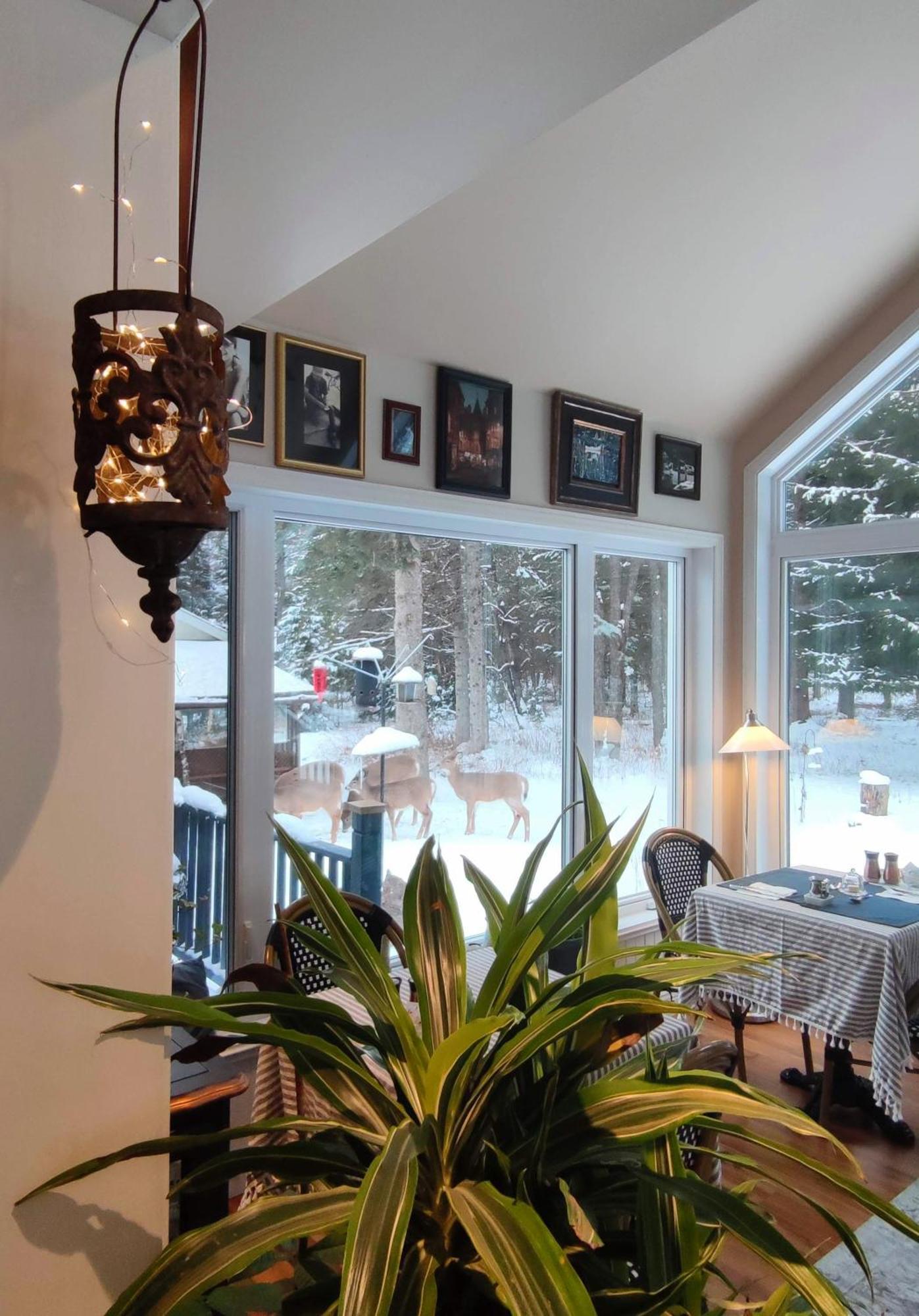 Bed and Breakfast La Tremblante Мон-Трамблан Экстерьер фото